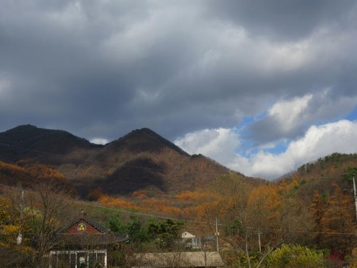 경기 양평군 옥천면 용천리 산43 임야 사진 2
