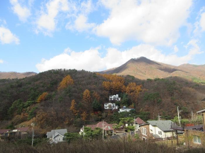 경기 양평군 옥천면 용천리 산43 임야 사진 4