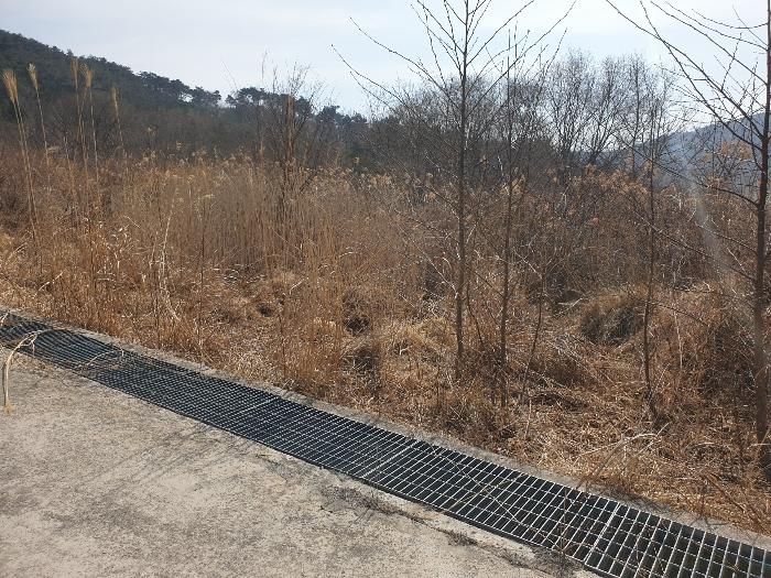 경남 산청군 신안면 안봉리 산24-19 임야 사진 3