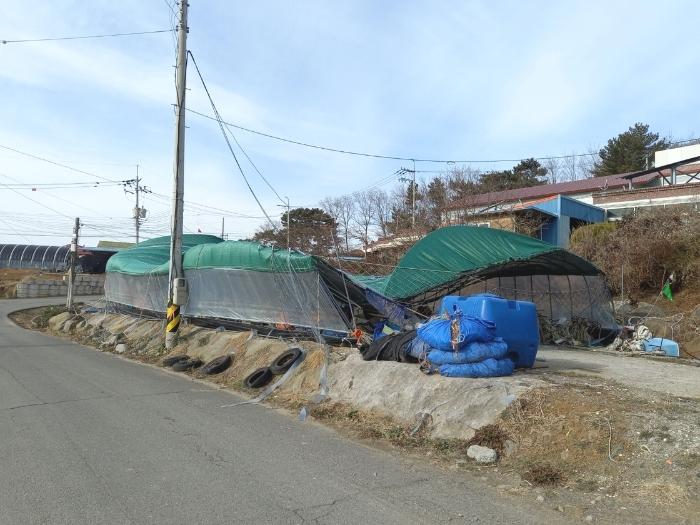 충청남도 서천군 비인면 다사리 26-7 주택 경매 사진 1