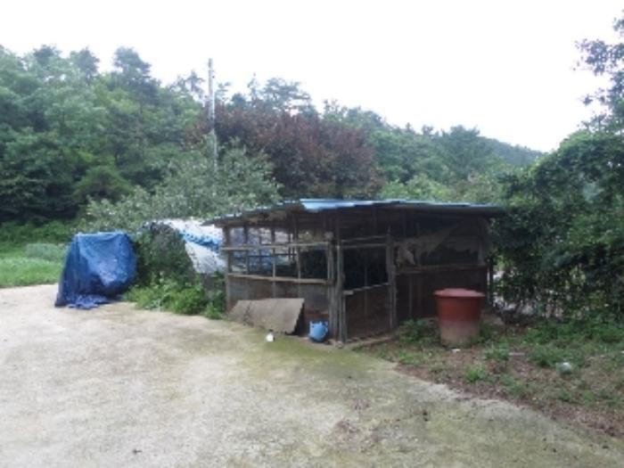 전라북도 완주군 소양면 대흥리 773-8 근린주택 경매 사진 19