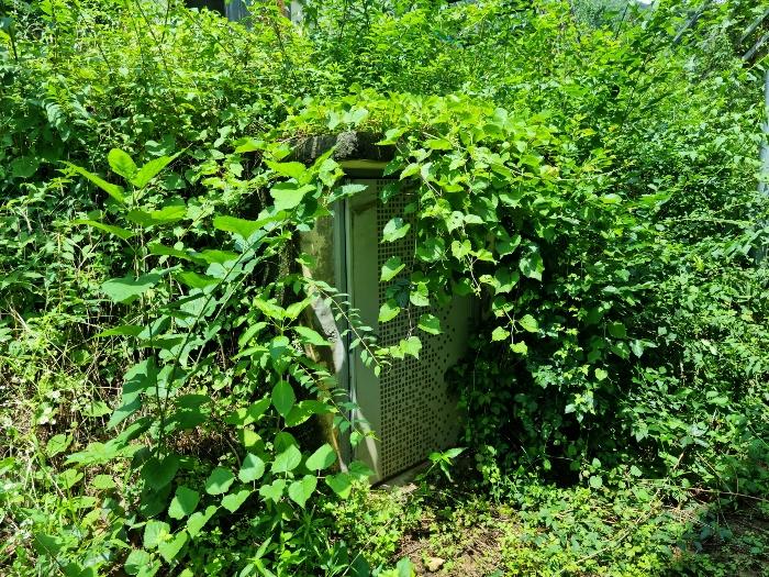 전라북도 완주군 소양면 대흥리 773-8 근린주택 경매 사진 6