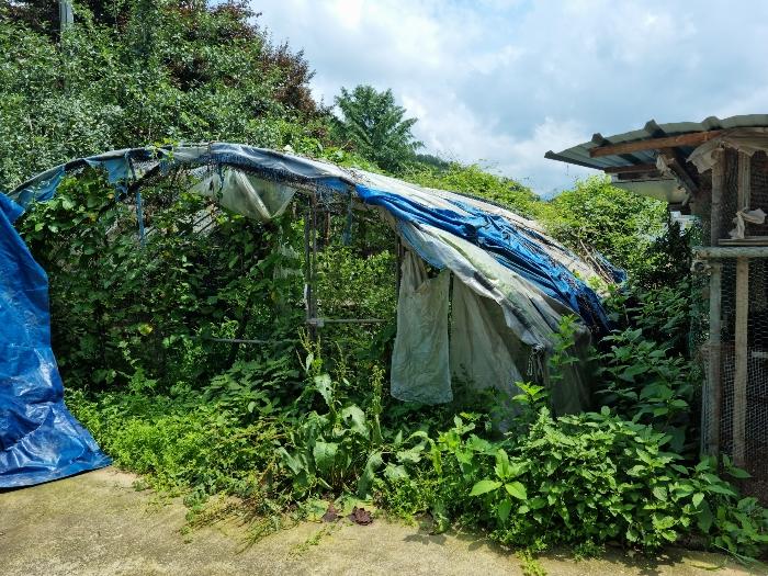 전라북도 완주군 소양면 대흥리 773-8 근린주택 경매 사진 7