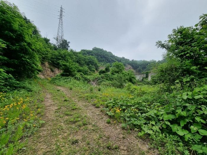 충남 천안시 동남구 삼룡동 41-16 임야 사진 2