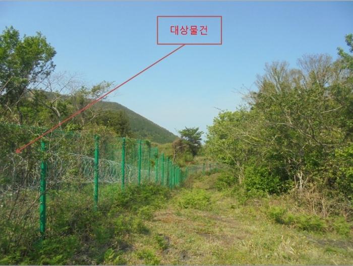 제주특별자치도 제주시 구좌읍 세화리 산28 임야 경매 사진 5