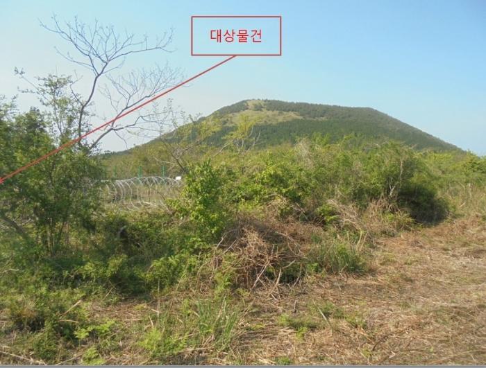 제주특별자치도 제주시 구좌읍 세화리 산28 임야 경매 사진 6