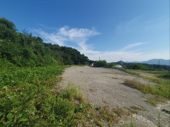 충북 옥천군 옥천읍 동안리 75-1 임야 사진 5