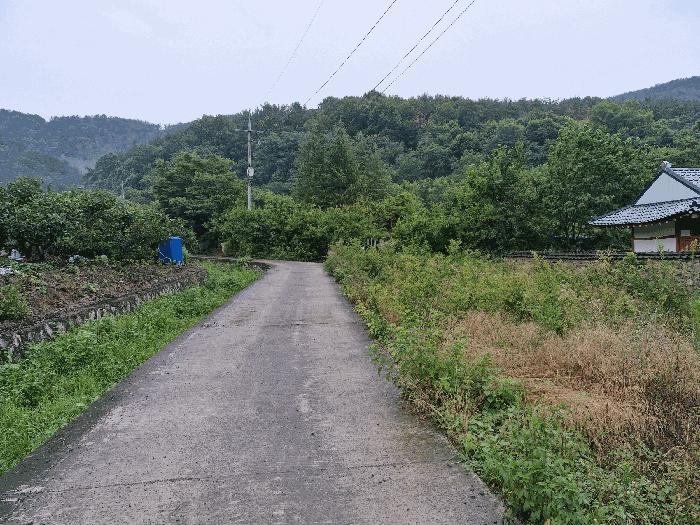 경남 밀양시 하남읍 대사리 65 답 사진 4