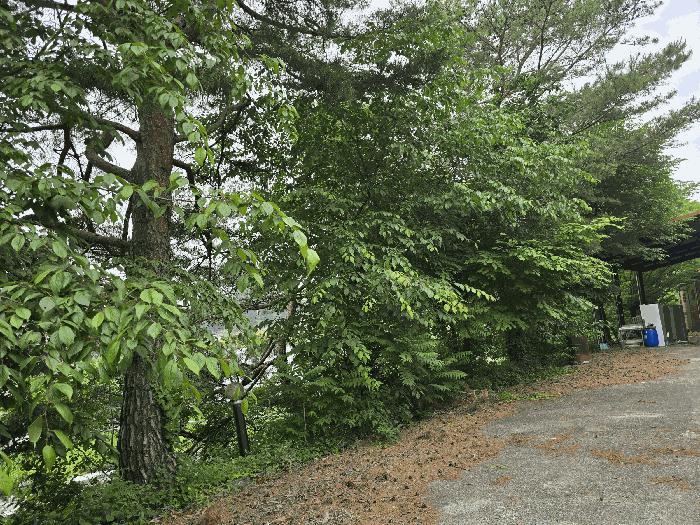 충청남도 논산시 연산면 어은리 95-1 창고 경매 사진 10