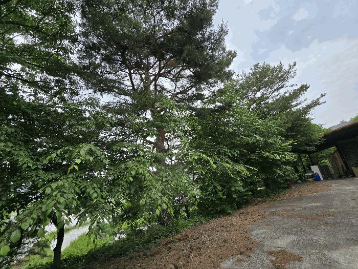 충청남도 논산시 연산면 어은리 95-1 창고 경매 사진 4