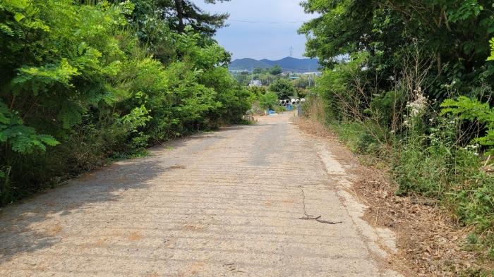 충남 당진시 석문면 삼봉리 966-64 제에이동 다가구주택 사진 5