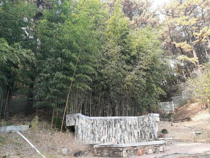 충남 천안시 동남구 신부동 238-17 주택 사진 6