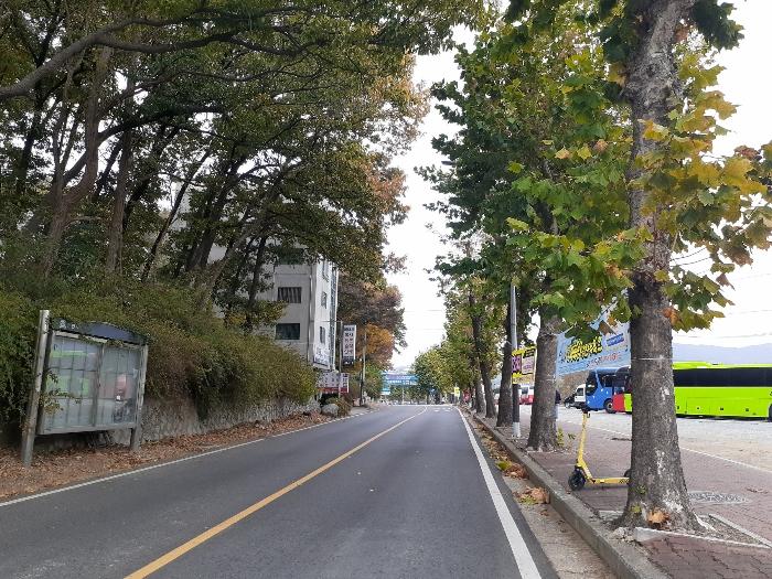 충청남도 천안시 동남구 신부동 238-17 주택 경매 사진 8