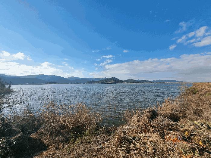전남 영암군 유지