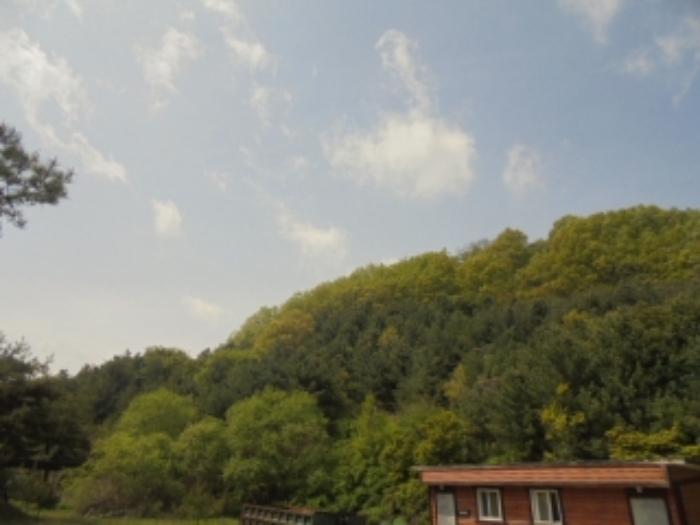 충청북도 충주시 능암리 682-8 주유소 경매 사진 76