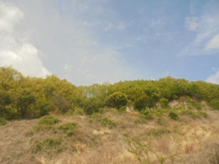 충청북도 충주시 능암리 682-8 주유소 경매 사진 9