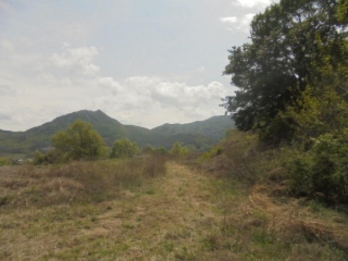 충청북도 충주시 호암동 산42-2 임야 경매 사진 22