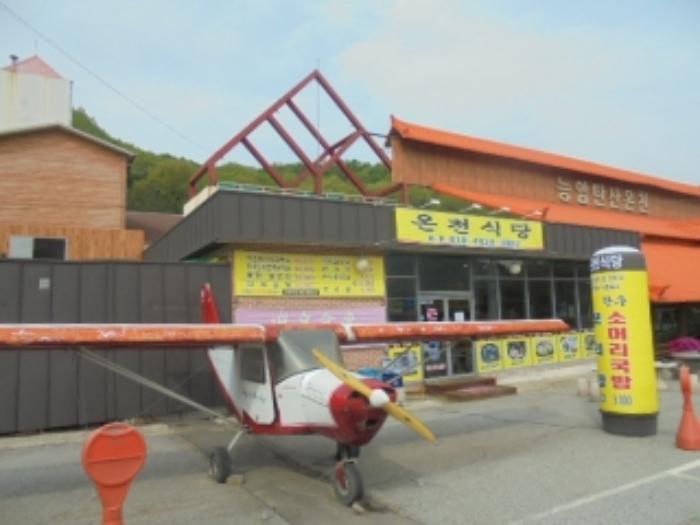 충청북도 충주시 호암동 산42-2 임야 경매 사진 40