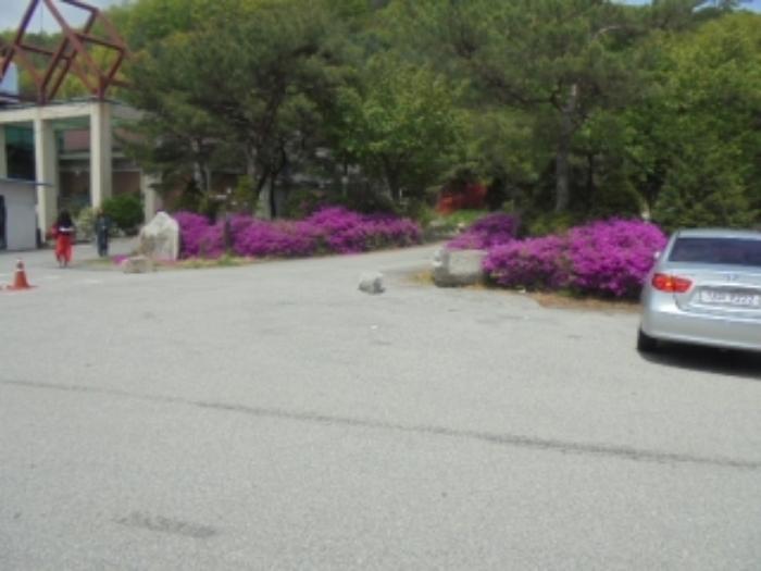 충청북도 충주시 호암동 산42-2 임야 경매 사진 53
