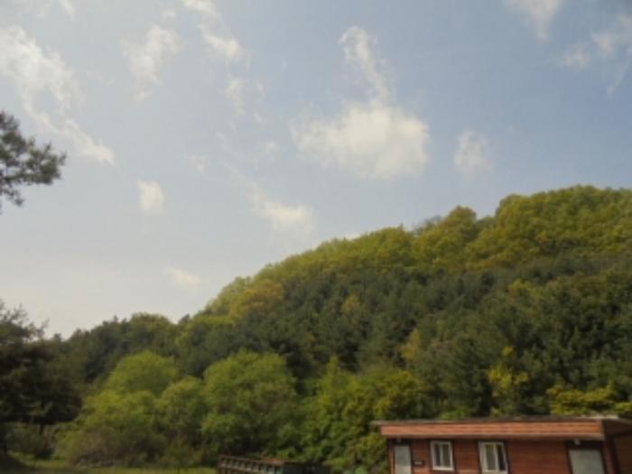 충청북도 충주시 호암동 469-2 임야 경매 사진 23