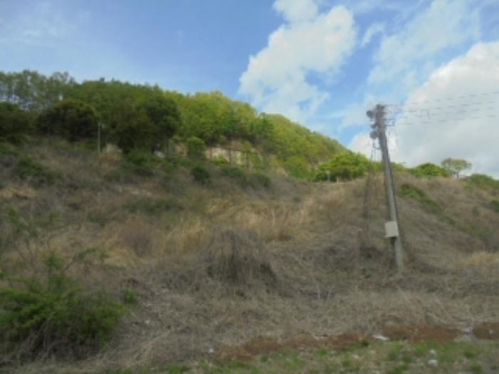충청북도 충주시 호암동 469-2 임야 경매 사진 36