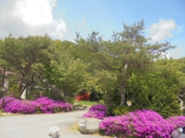 충청북도 충주시 호암동 469-2 임야 경매 사진 54
