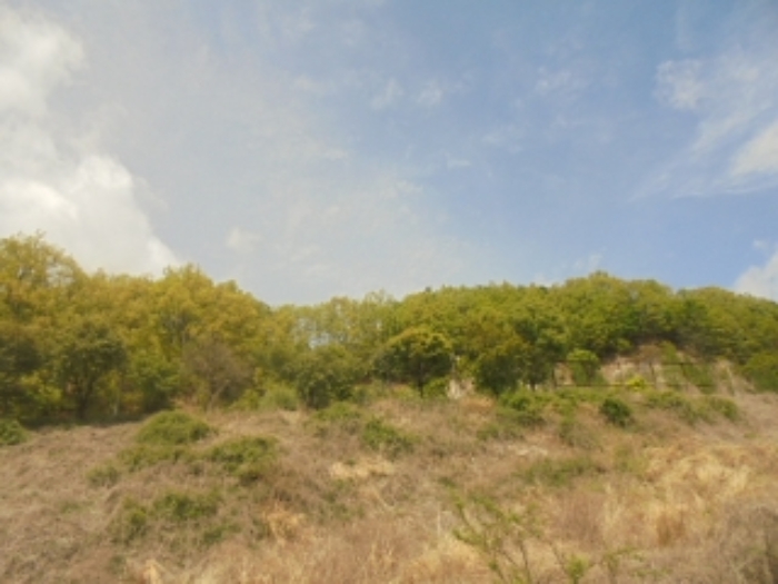 충청북도 충주시 호암동 469-2 임야 경매 사진 62