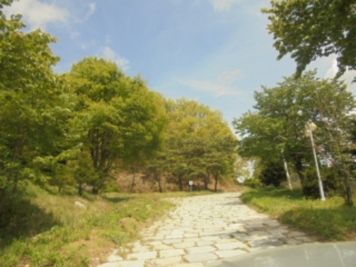 충청북도 충주시 호암동 469-2 임야 경매 사진 71