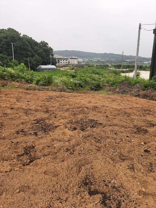 충청북도 진천군 광혜원면 선수촌로 104-3구) 충청북도 진천군 광혜원면 회죽리 293-9 근린주택 경매 사진 11