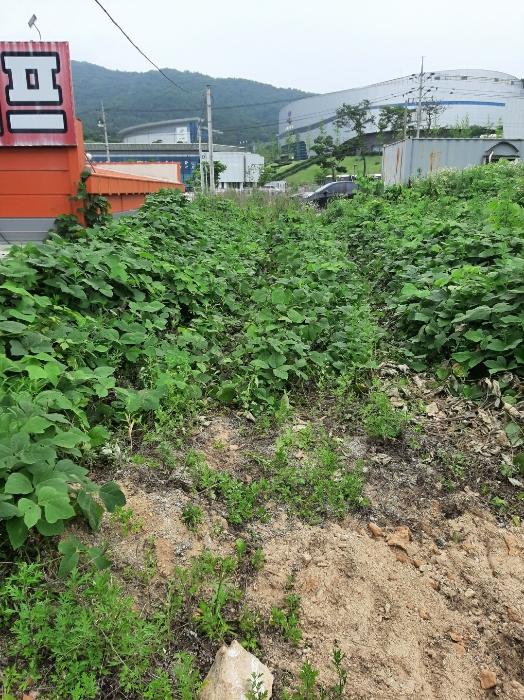 충청북도 진천군 광혜원면 선수촌로 104-3구) 충청북도 진천군 광혜원면 회죽리 293-9 근린주택 경매 사진 12