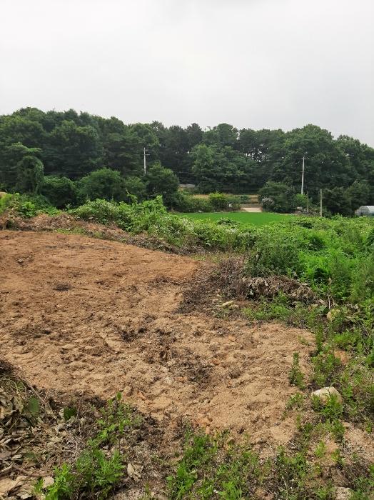 충청북도 진천군 광혜원면 선수촌로 104-3구) 충청북도 진천군 광혜원면 회죽리 293-9 근린주택 경매 사진 15