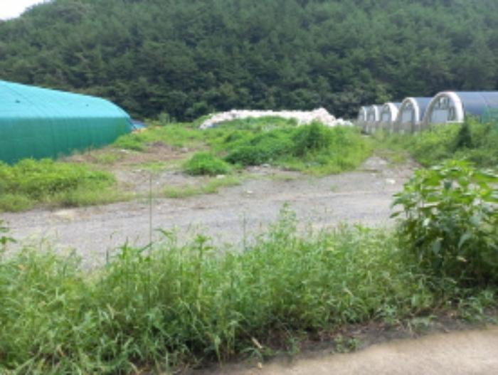 경상남도 진주시 이반성면 하곡로 150-27구) 경상남도 진주시 이반성면 하곡리 540-5 창고 경매 사진 31