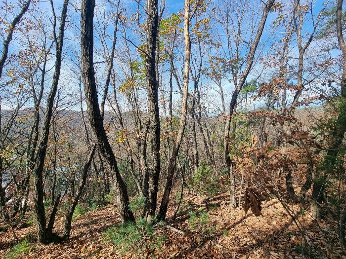 경기 양주시 장흥면 부곡리 85-30 근린시설 사진 4