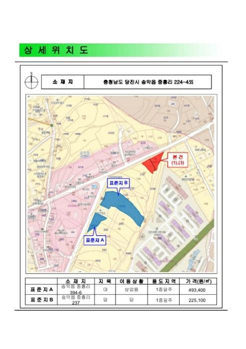충청남도 당진시 송악읍 중흥리 224-4 근린주택 경매 사진 25
