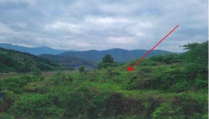 경상남도 밀양시 무안면 웅동리 614 전 경매 사진 1