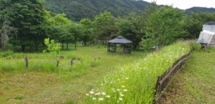 전라북도 장수군 계남면 신전리 1454-45 교육시설 경매 사진 33