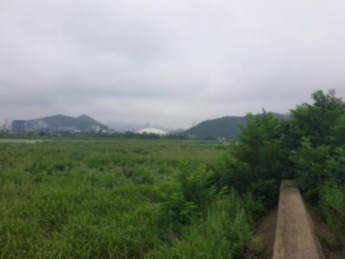 전라남도 여수시 소라면 대포리 1346-12 유지 경매 사진 16