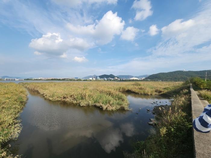 전라남도 여수시 소라면 대포리 1346-12 유지 경매 사진 2
