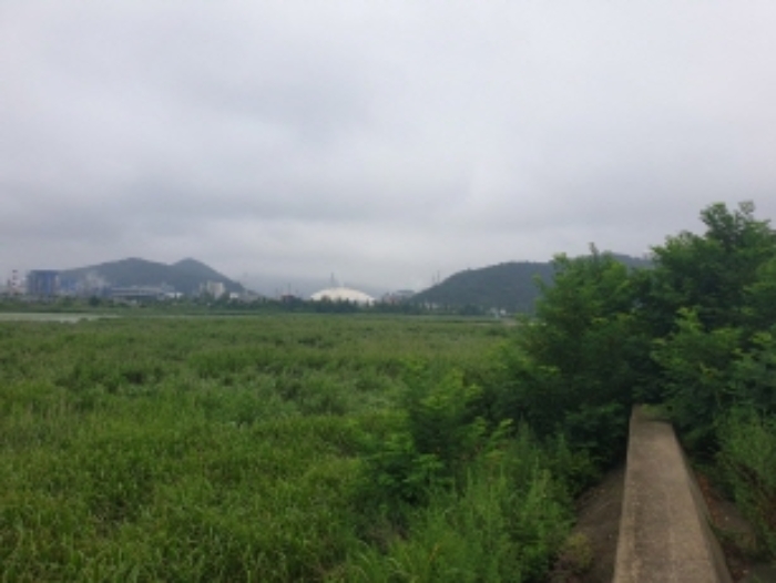 전라남도 여수시 소라면 대포리 1346-12 유지 경매 사진 24