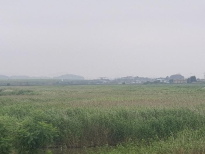 전라남도 여수시 소라면 대포리 1346-12 유지 경매 사진 8
