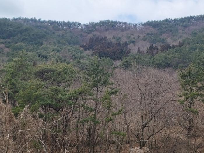 경상남도 거제시 둔덕면 거림리 1138 전 경매 사진 7
