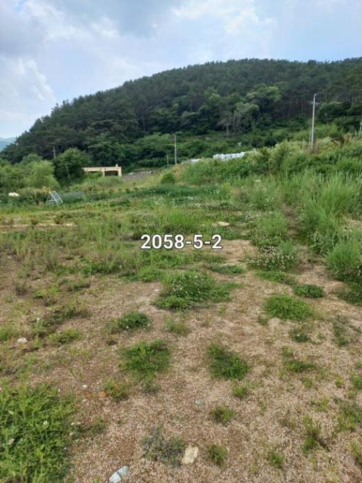 부산광역시 기장군 철마면 연구리 330 답 경매 사진 16