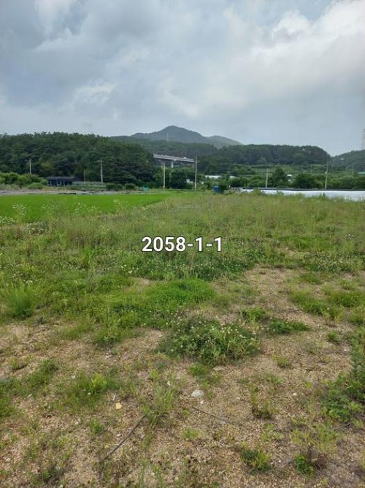 부산광역시 기장군 철마면 연구리 330 답 경매 사진 4
