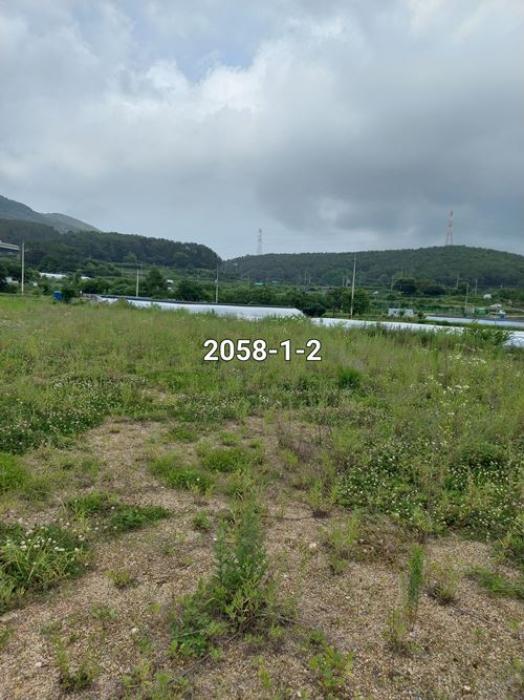 부산광역시 기장군 철마면 연구리 330 답 경매 사진 5