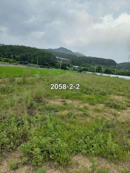 부산광역시 기장군 철마면 연구리 330 답 경매 사진 8