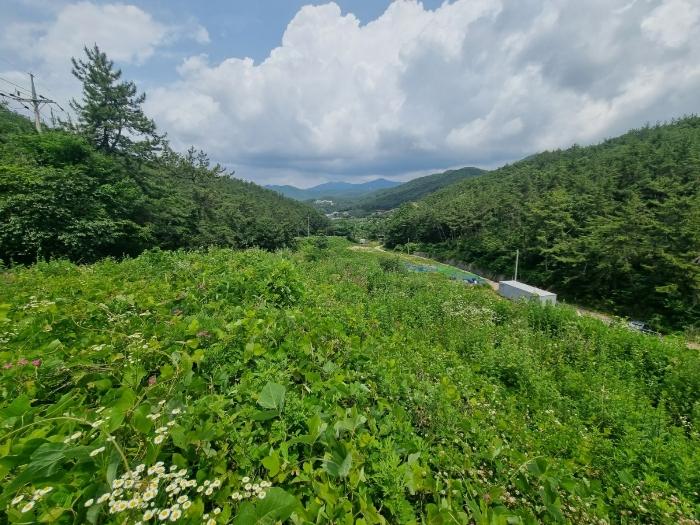 경남 창원시 마산합포구 구산면 석곡리 400 답 사진 2