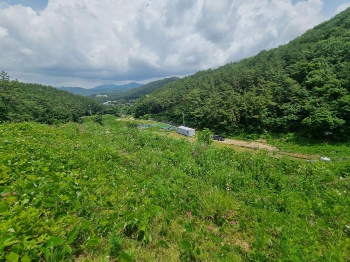 경남 창원시 마산합포구 구산면 석곡리 400 답 사진 5