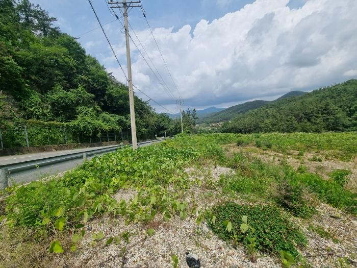 경상남도 창원시 마산합포구 구산면 석곡리 400 답 경매 사진 7