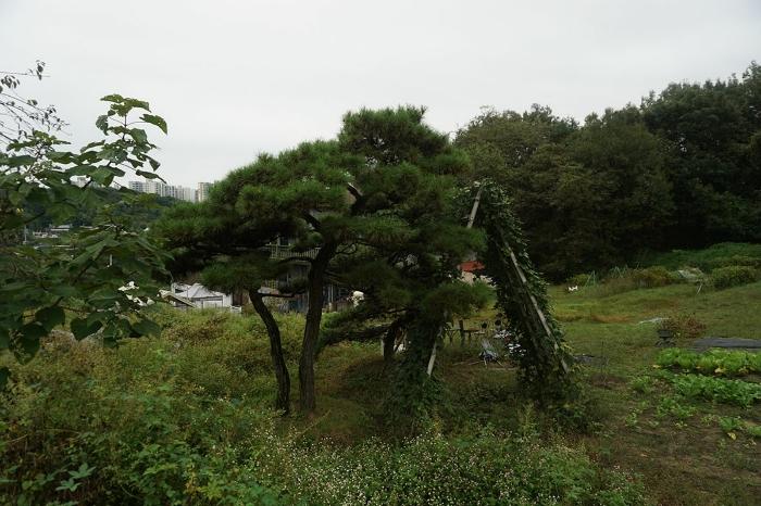 전라북도 전주시 완산구 삼천동2가 160-7 주택 경매 사진 2