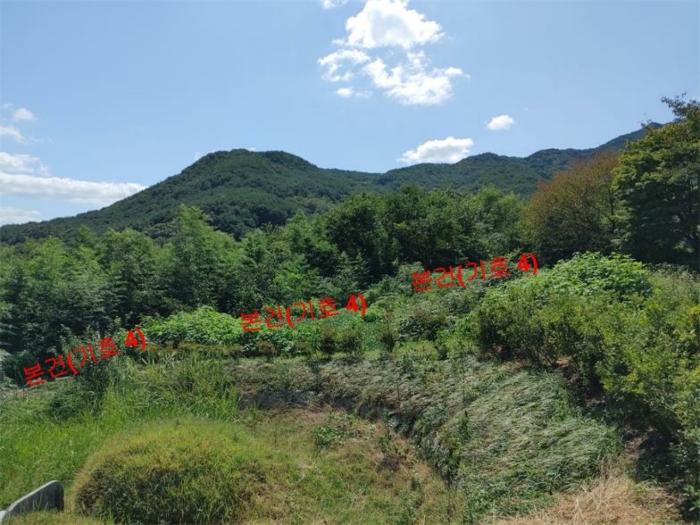 경상남도 합천군 가회면 중촌리 447 대지 경매 사진 4